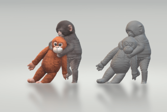 The Journey of Punch the Monkey: A Story of Resilience and Social Bonds